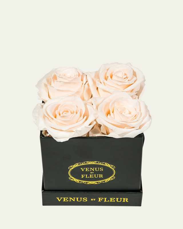 Classic Petite Square Rose Box